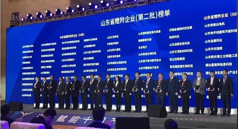 2019開(kāi)門紅，青島網信入選山東省瞪羚标杆企業