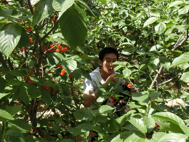 QQ截圖20180402145504