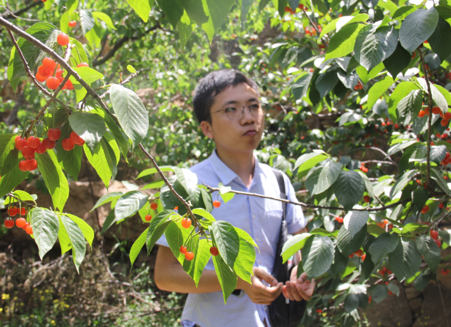 QQ截圖20180402145511